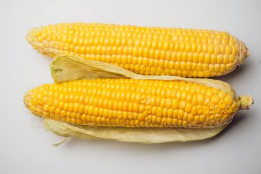 Mısır sarı altın