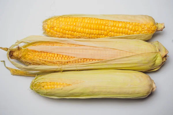 Corn yellow golden — Stock Photo, Image