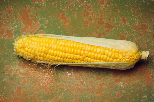 Corn yellow golden — Stock Photo, Image