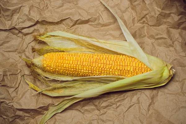 Mısır sarı altın