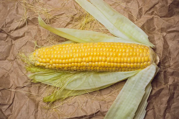 Mısır sarı altın