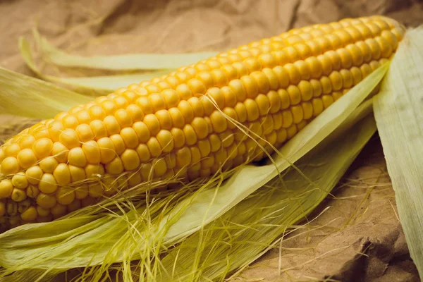 Mısır sarı altın