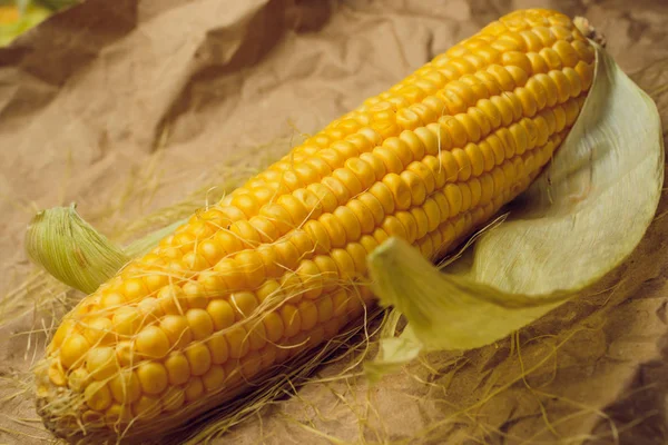 Maíz amarillo dorado —  Fotos de Stock