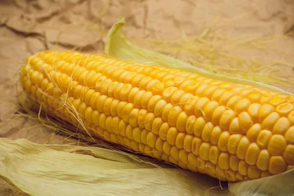 Mısır sarı altın