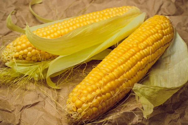 Mısır sarı altın