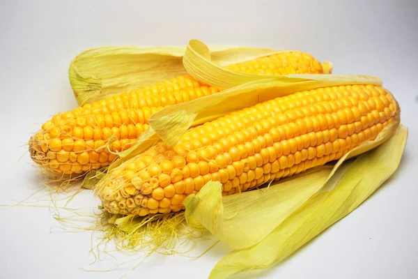 Mısır sarı altın