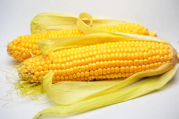 Mısır sarı altın