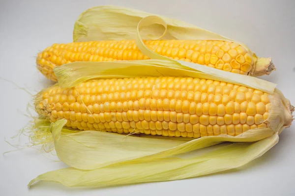 Mısır sarı altın