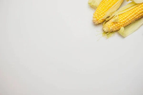 Corn yellow golden — Stock Photo, Image