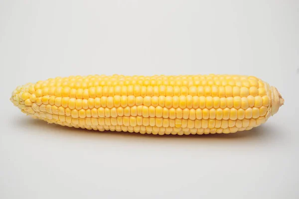 Corn yellow golden — Stock Photo, Image