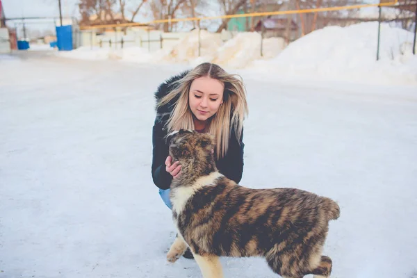 女の子の犬の冬 — ストック写真