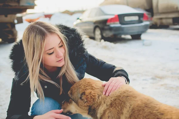女の子の犬の冬 — ストック写真