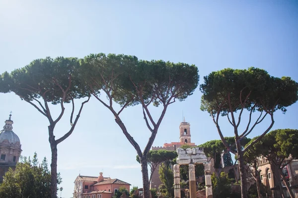 Otoño en Roma Coliseo Italia — Foto de Stock