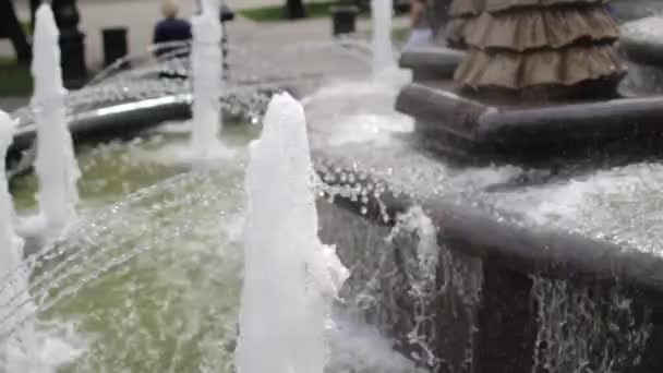 Beautiful fountain in city park — Stock Video