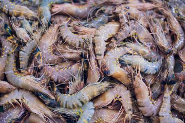 Balık Pazarı Asya'da Vietnam kutusundan saklı deniz ürünleri karides için satmak.