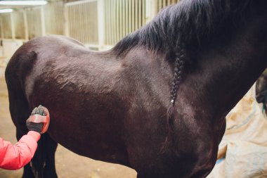 sevecen ve damat siyah at binici ana kadın.