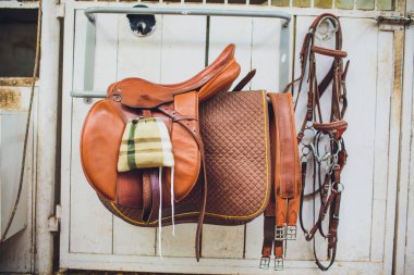 Bir deri bir istikrarlı mühimmat at eyerleyin