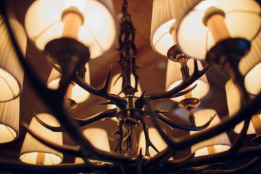 geyik boynuzları bulanıklık arka plan üzerinde yapılmış avize