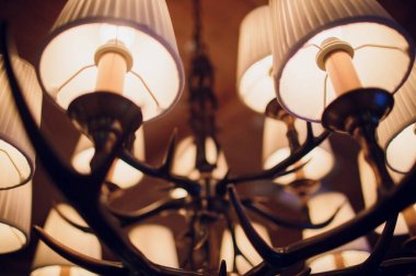 geyik boynuzları bulanıklık arka plan üzerinde yapılmış avize