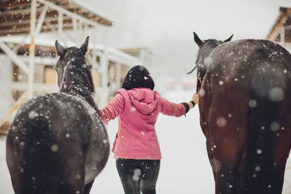 Una Mujer Lleva Dos Caballos Nieve Invierno — Foto de Stock