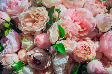 Ahşap arka plan üstünde belgili tanımlık kutu gül