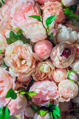 Ahşap arka plan üstünde belgili tanımlık kutu gül