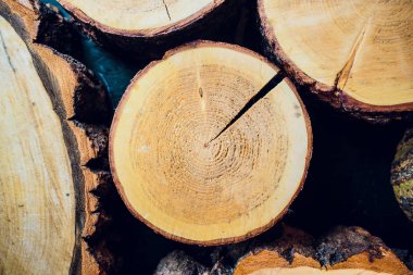 Ahşap arka plan kahverengi yığın birlikte kesilir.