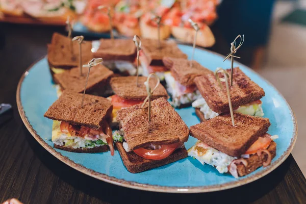 Mini Club sendvič s kuřecím majákem šunka, vaječný salát studené řezy Brioche sendviče na catering, seminář, přestávka na kávu, snídaně, oběd, večeře, bufet a setkání skupiny. — Stock fotografie