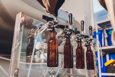 Bira fabrikası taşıyıcı hatlarda cam şişelere bira döküyor. Endüstriyel işler, otomatikleştirilmiş yiyecek ve içecek üretimi. Fabrikada teknolojik işler..