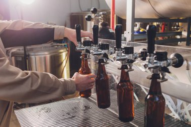 Bira fabrikası taşıyıcı hatlarda cam şişelere bira döküyor. Endüstriyel işler, otomatikleştirilmiş yiyecek ve içecek üretimi. Fabrikada teknolojik işler..