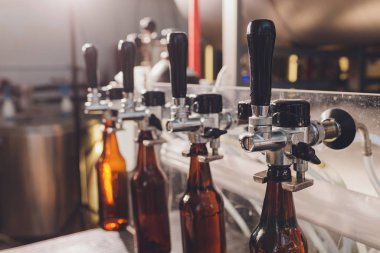 Bira fabrikası taşıyıcı hatlarda cam şişelere bira döküyor. Endüstriyel işler, otomatikleştirilmiş yiyecek ve içecek üretimi. Fabrikada teknolojik işler..