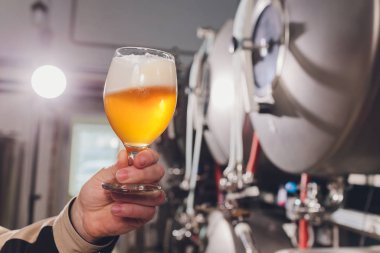 Olgun adam bira zanaat bira kalitesi inceleyerek. Bira kontrol alkol üretim fabrikasında çalışan Müfettiş. Fıçı bira kalite kontrolü kontrol damıtım erkekte.