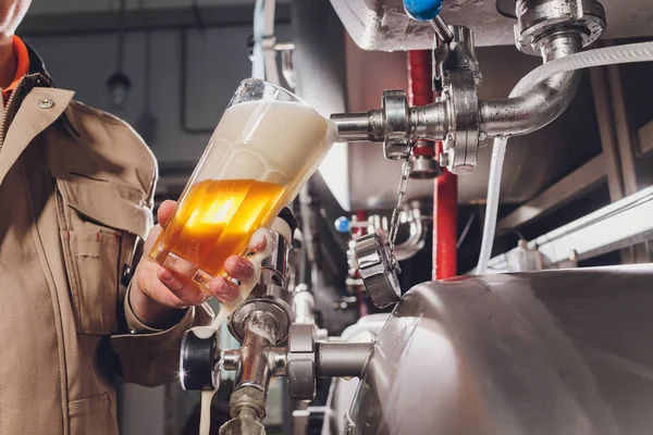Sörfőző ember és kötény sört tölt egy pohárba a minőség-ellenőrzés érdekében, a pult mögött áll egy sörfőzdében. — Stock Fotó