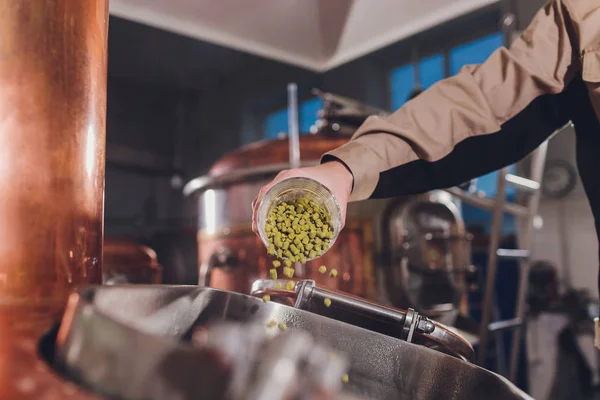 Beker met kruiden in de hand van de koks. Brouwerijgist. — Stockfoto