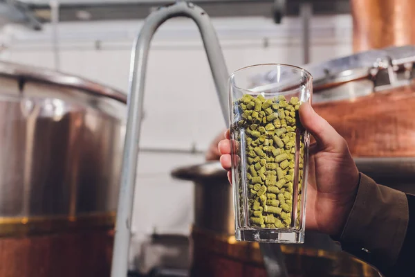 Copo com temperos na mão cozinheiros. Levedura de cerveja . — Fotografia de Stock