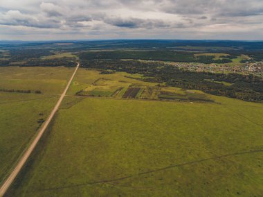 Yaz sıcacık güneş ışığı orman hava manzarası.