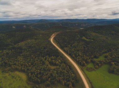 Yaz sıcacık güneş ışığı orman hava manzarası.