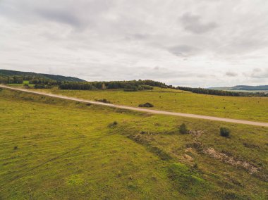 Yaz sıcacık güneş ışığı orman hava manzarası.