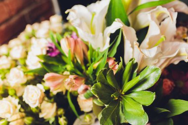 Çiçekler beyaz ahşap arka planda. Kopyalama alanı olan üst görünüm.