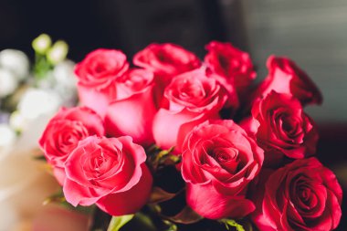 Çiçekler beyaz ahşap arka planda. Kopyalama alanı olan üst görünüm.