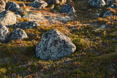 Güzel bir yaz günü manzarası terk edilmiş sanat sahili savunması Kuzey Teriberka, Barents deniz manzarası.