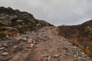 Bulutlu bir günde rengarenk tundra ağaçları ve çalıları olan tepelerin arasında kuzey köy yolu. Teriberka 'ya git. Kola Yarımadası, Murmansk bölgesi, Rusya.