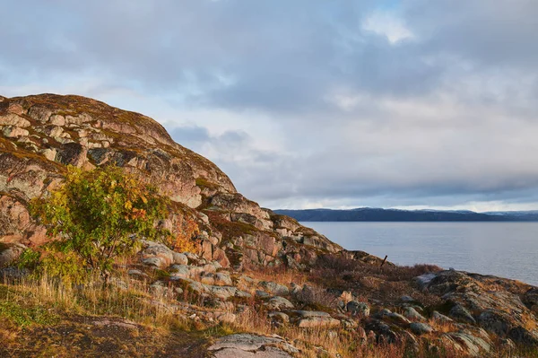 Hermoso paisaje de día de verano abandonado artnature defensa costera norte de Teriberka, Barents vista al mar . —  Fotos de Stock