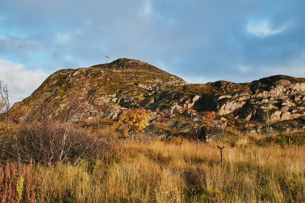 Estrada rural do norte entre colinas com árvores coloridas de tundra de outono e arbustos em um dia nublado. Viaje para Teriberka. Península de Kola, região de Murmansk, Rússia . — Fotografia de Stock