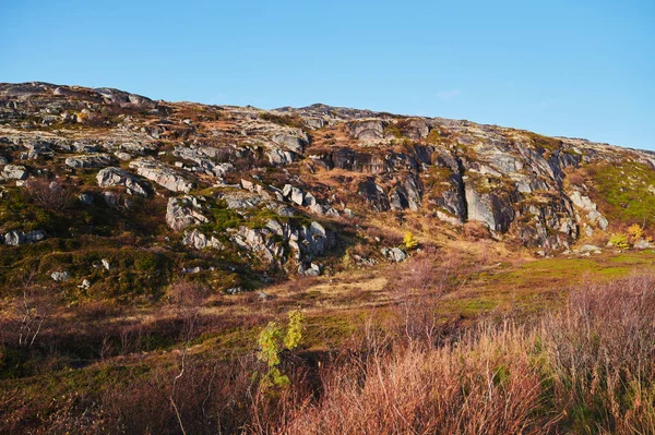 Norra landsvägen bland kullar med färgglada hösttundraträd och buskar en mulen dag. Res till Teriberka. Kolahalvön, Murmanskregionen, Ryssland. — Stockfoto