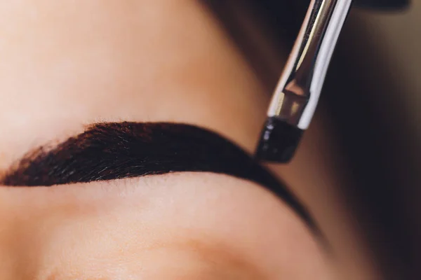 Esteticista-artista de maquillaje aplica henna pintura en previamente arrancado, diseño, cejas recortadas en un salón de belleza en la corrección de la sesión. Cuidado profesional de la cara. —  Fotos de Stock