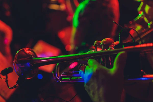 Fingers of a musician playing the French horn. — Stock fotografie