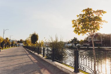 Yeşil çim tarlası olan parkın güzel sabah ışığı.