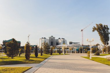 Yeşil çim tarlası olan parkın güzel sabah ışığı.