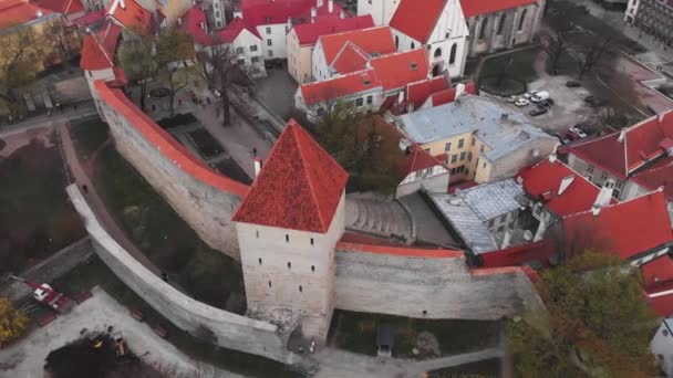Tallinns murar är medeltida försvarsmurar byggda runt Tallinn i Estland. Tallinns stadsmur. Virgins Tower Neitsitorn, Tallinn. Maidens Tower. — Stockvideo